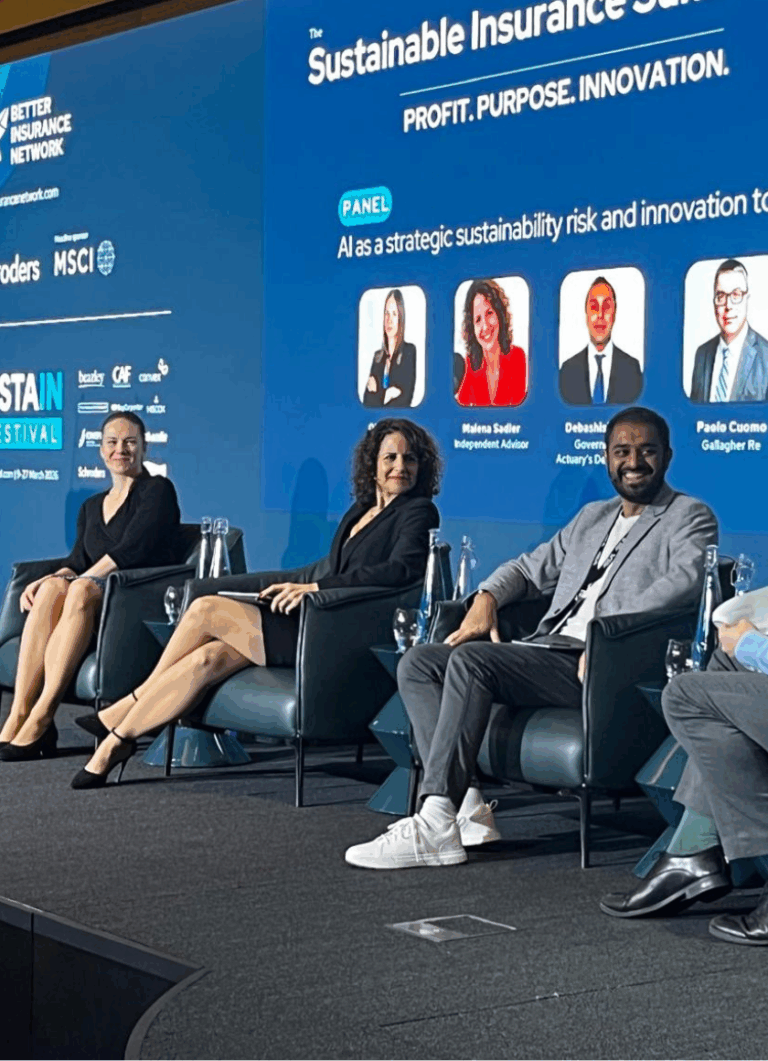 AI as a strategic sustainability risk and innovation tool 