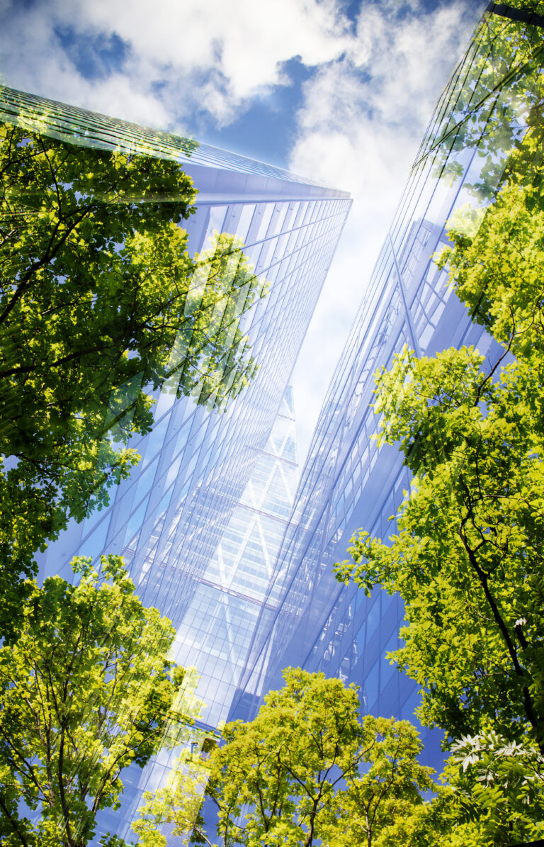 Intent to impact: Strategic corporate giving for insurers